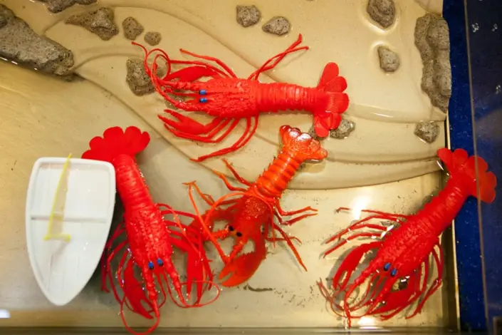 Ch-Disc-Cen-MTP-6282 Children’s Discovery Center lobster