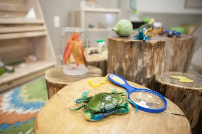Ch-Disc-Cen-MTP-6371 Children’s Discovery Center science activity